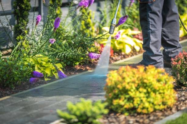 Best Dumpster Area Cleaning  in Smoke Rise, AL