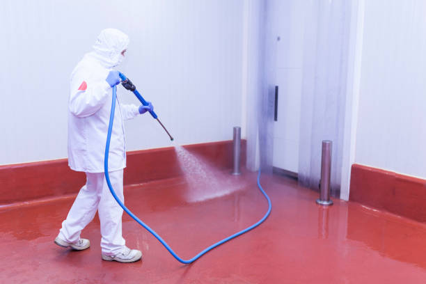 Best Playground Equipment Cleaning  in Smoke Rise, AL